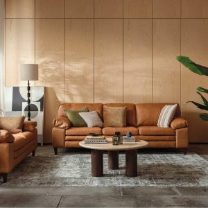 hakiki dri taba koltuk